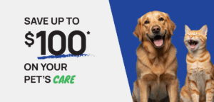 011326 Email Dental Campaign T3 100off Dog Cat HERO