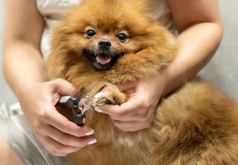 Baths & Nail Trims